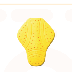 Back Protector
