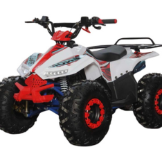 Venom 110CC Kids Quad Bike