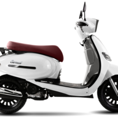 UM Carmel 125CC